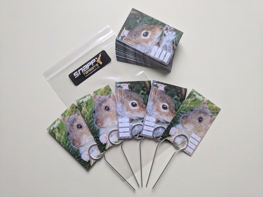 Life Size Vermin Targets - Brown Rat and Grey Squirrel - Image 3